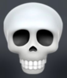 Skeleton