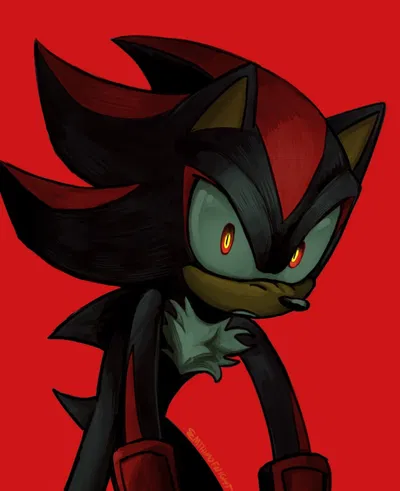 Shadow The Hedgehog 
