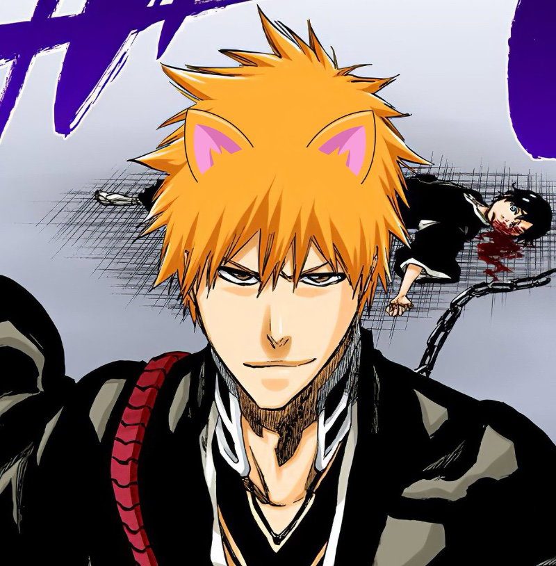 Catboy Ichigo
