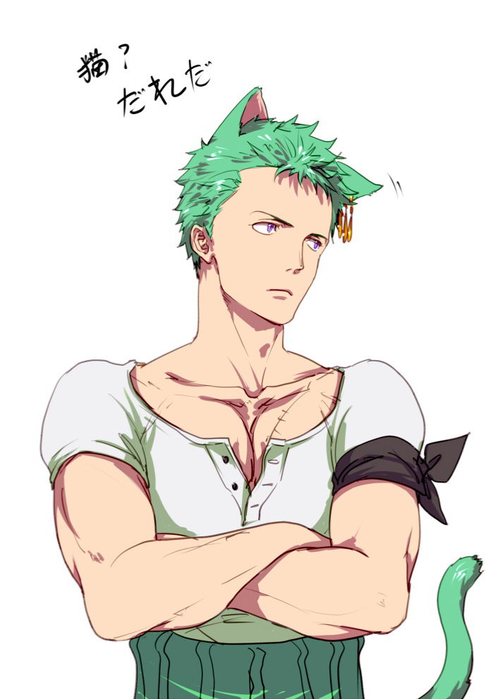 Catboy Zoro