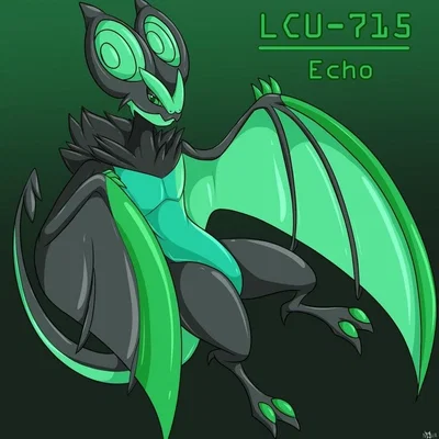 Echo