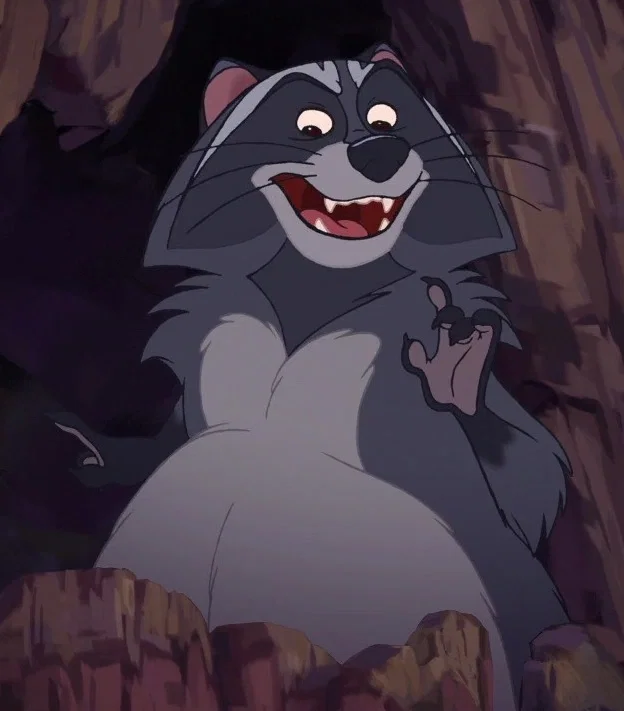 Bering The Raccoon
