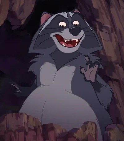 Bering The Raccoon 