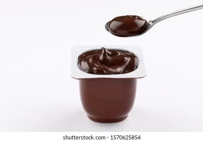 Emotional Support Pudding