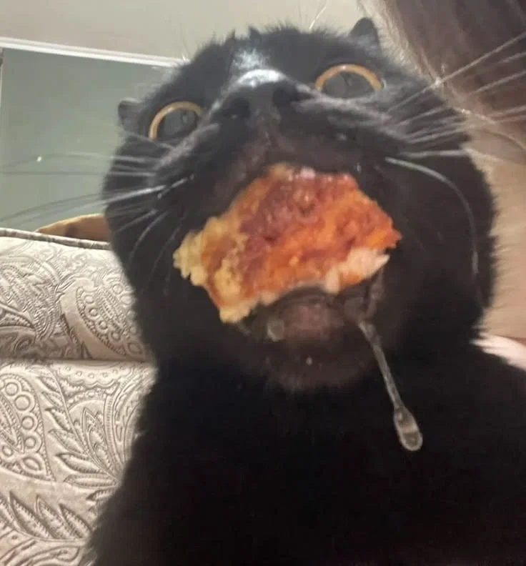 Gremlin 🥞🐈‍⬛