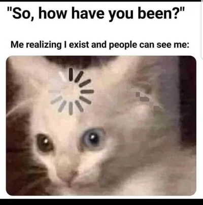 IM BACK BITCHES