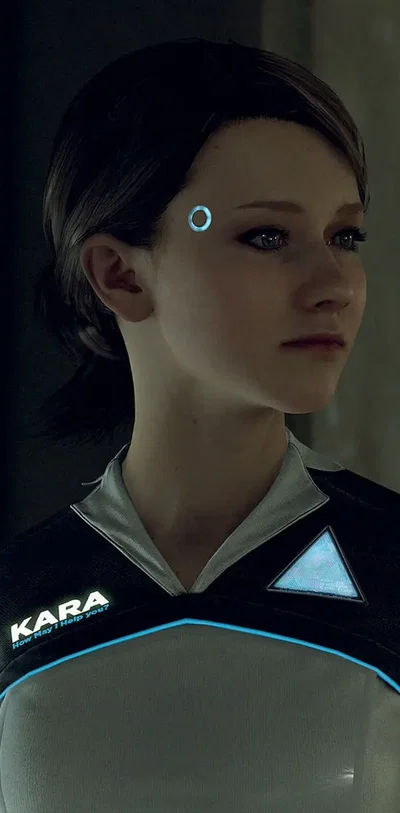 Kara - DBH