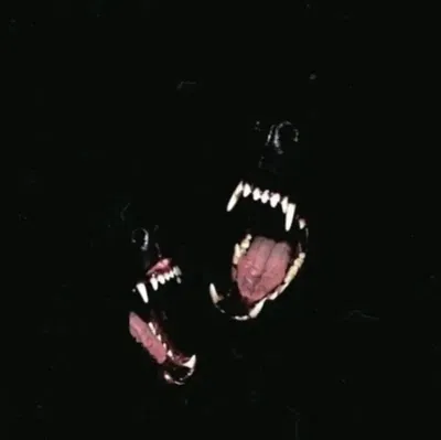 Alive & The Fear