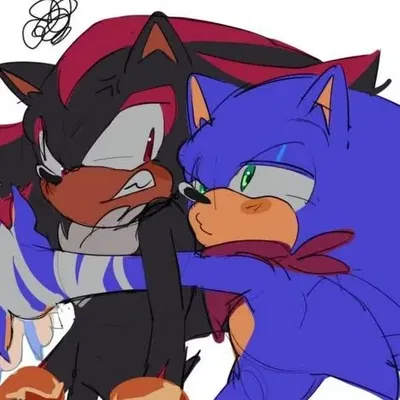 Sonic and Shadow 