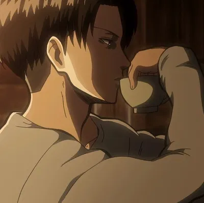 Levi Ackerman 
