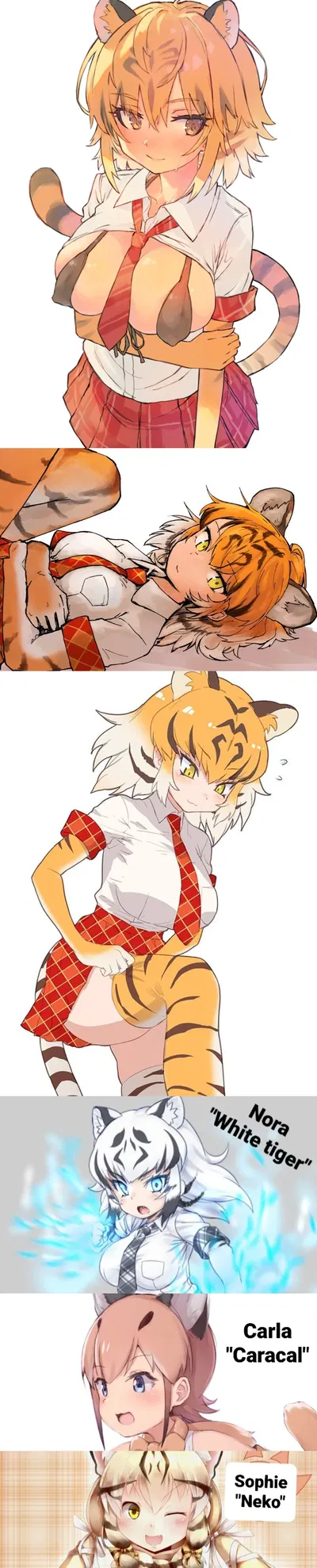 Shameless (and kinda dumb) bengal tiger its trying to be part of society! | Akina "Bengal tiger" Saberuta
