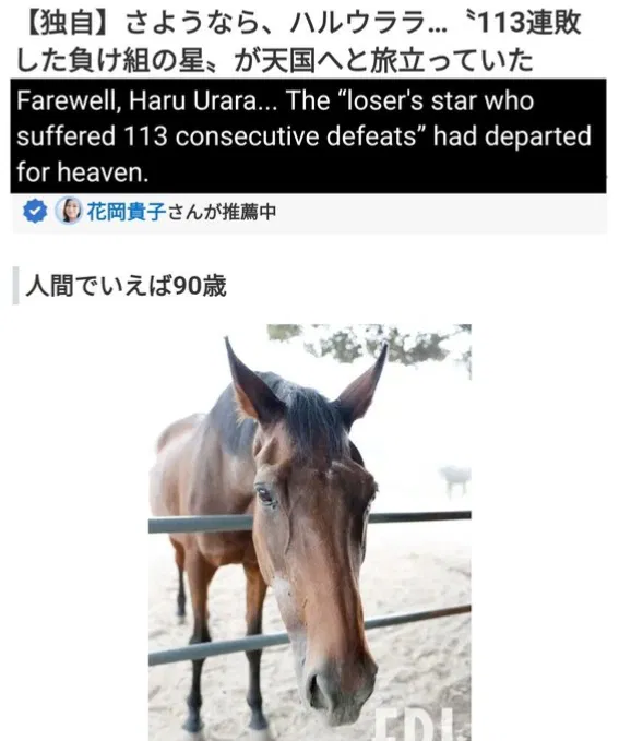 haru urara passed away