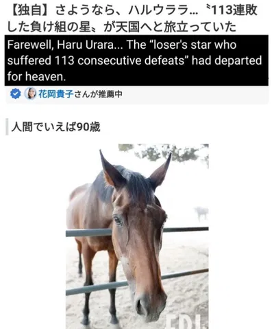 haru urara passed away