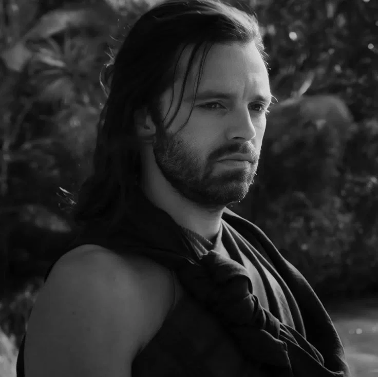 ⊂ ⊹ ⊃ . Bucky Barnes