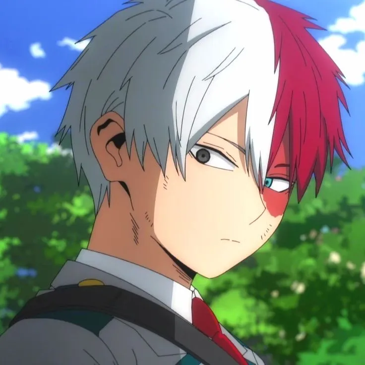 MHA — TODOROKI’S SIBLING