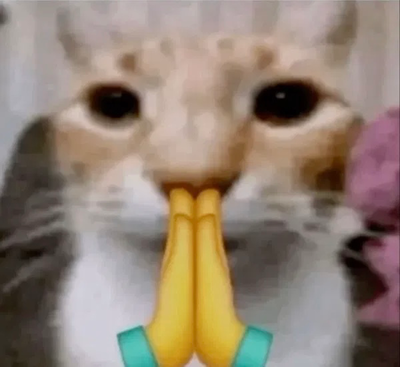 Main request bot