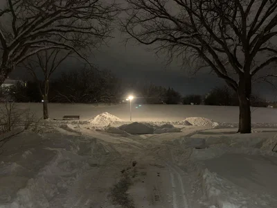 A Winter Bot
