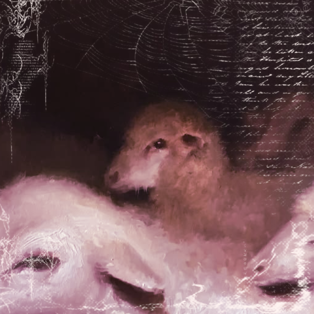 Faith | THE LAMB