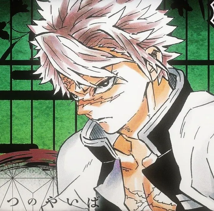 Sanemi Shinazugawa