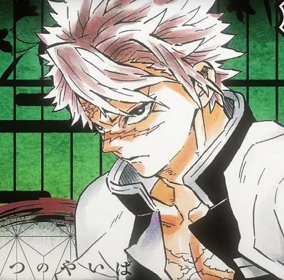Sanemi Shinazugawa
