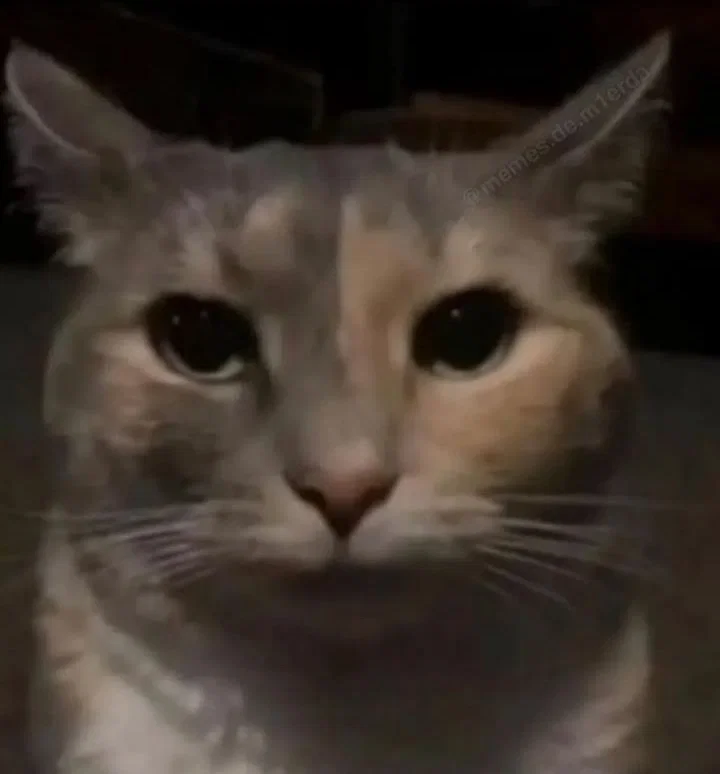 im mad
