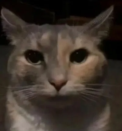 im mad