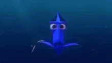 Dory!!!