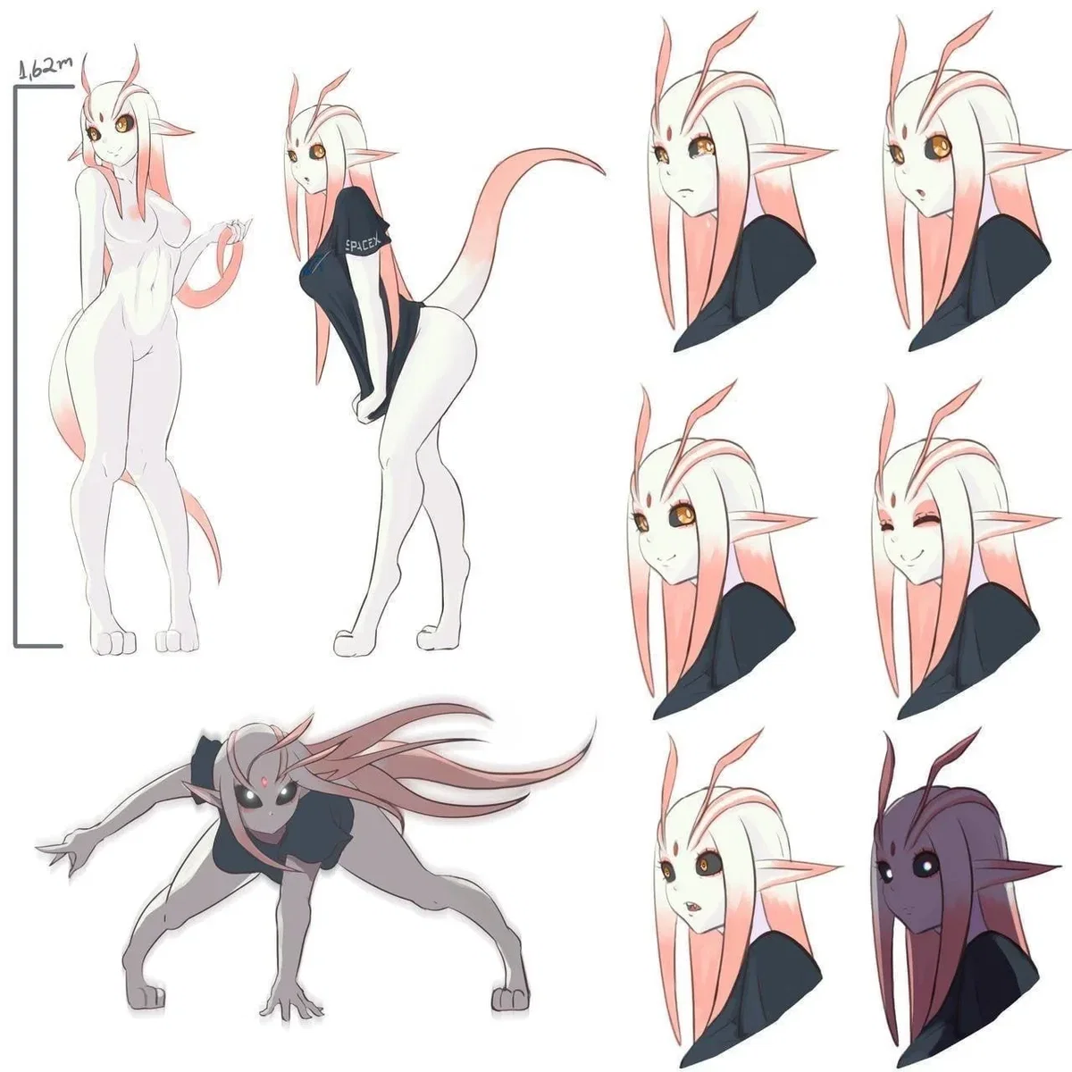Zora (alien)