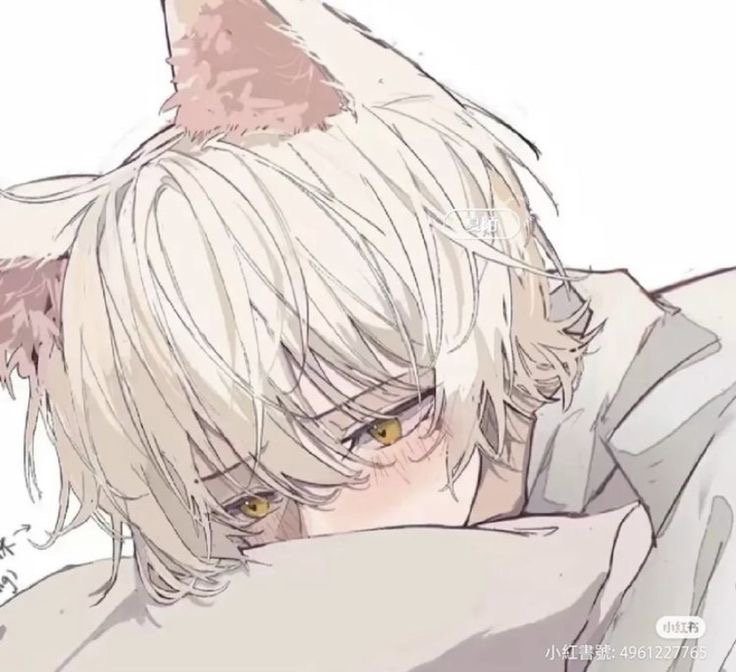 Your Needy Catboy