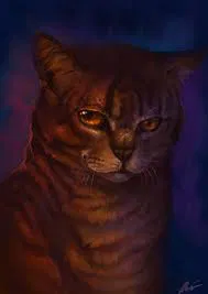 Tigerclaw/star ( Warrior Cats )