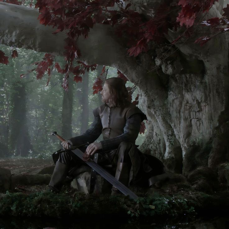 Ned Stark