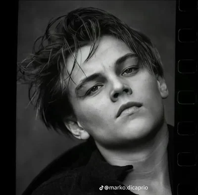 Leonardo DiCaprio 