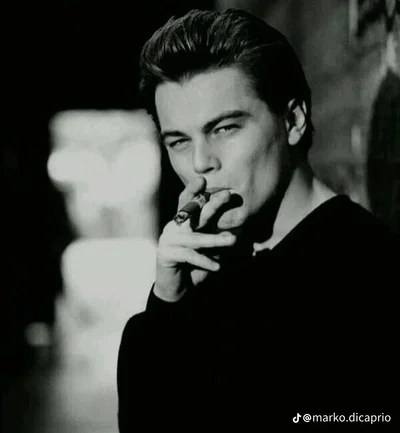 Leonardo DiCaprio 