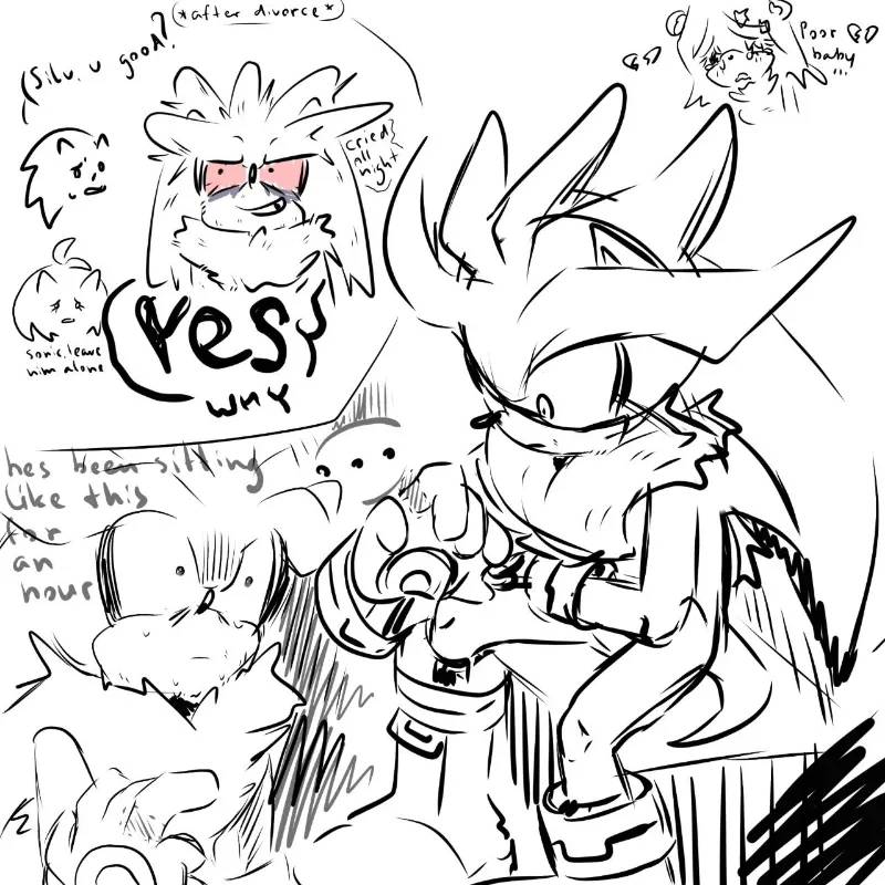 Silver the hedgehog | Divorce
