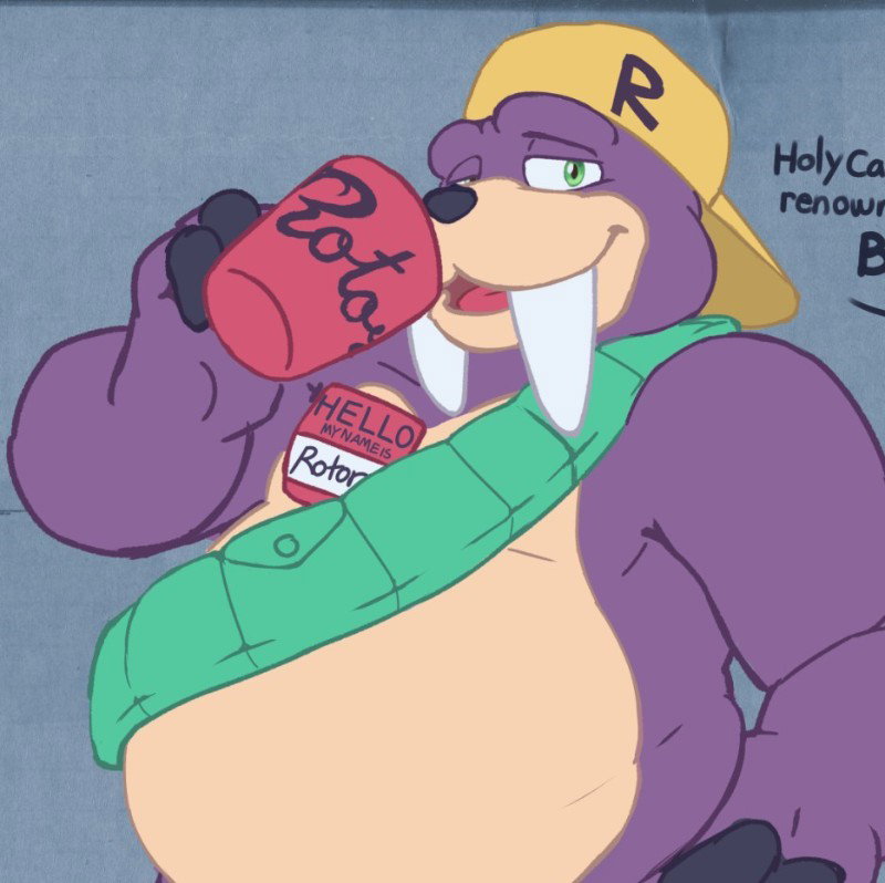 Rotor The Walrus