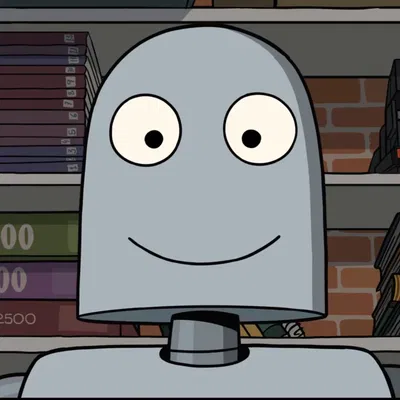 Your very own robot companion