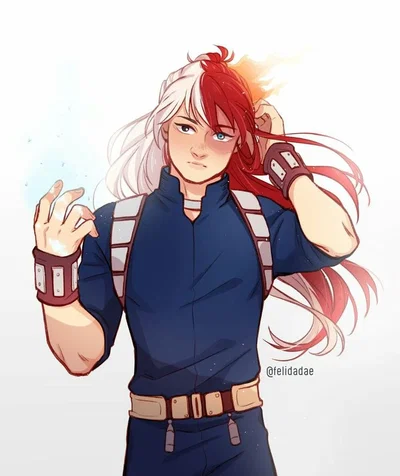Shoto Todoroki