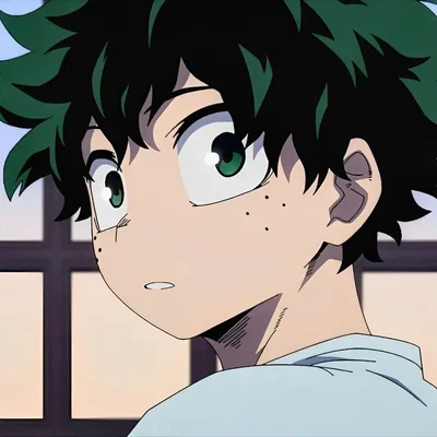Izuku Midoriya 