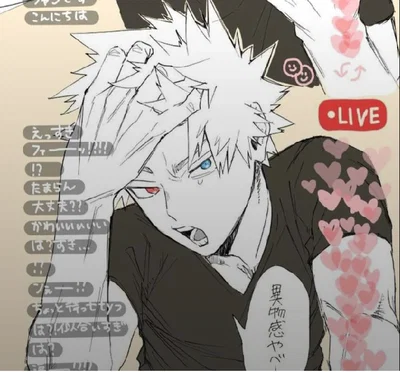 Katsuki Bakugou 
