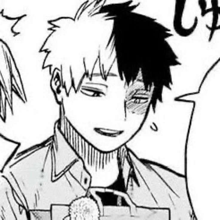 Shoto Todoroki