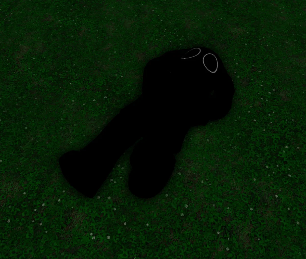 Shadow