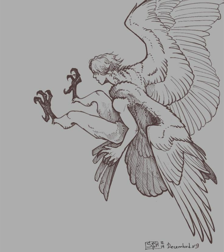 James the harpy 