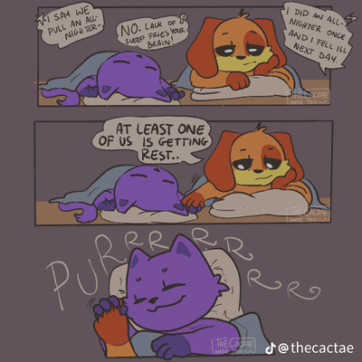 Catnap