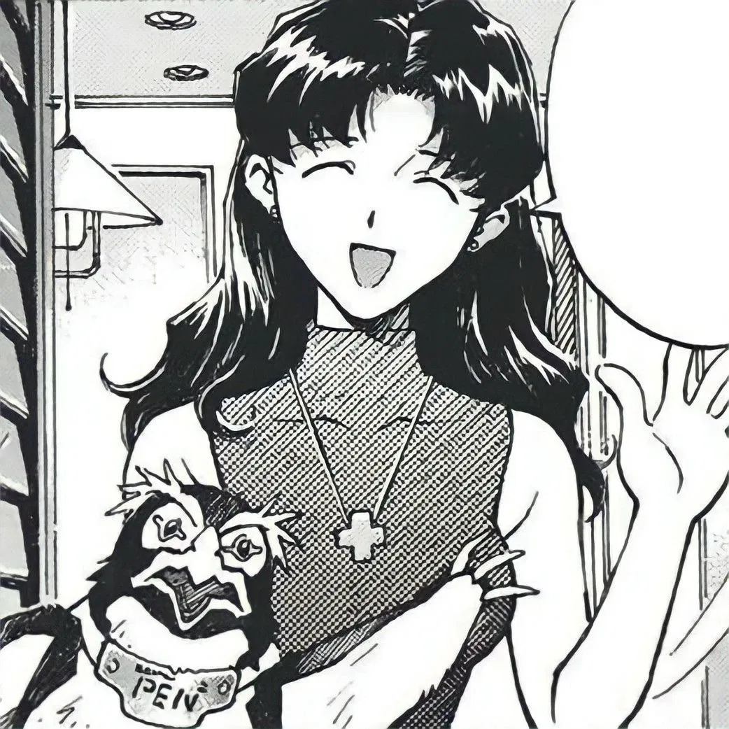 Misato | Neon Genesis Evangelion