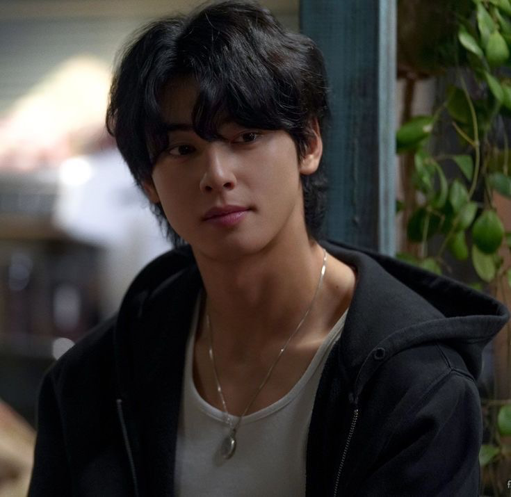 cha  ♡ eunwoo