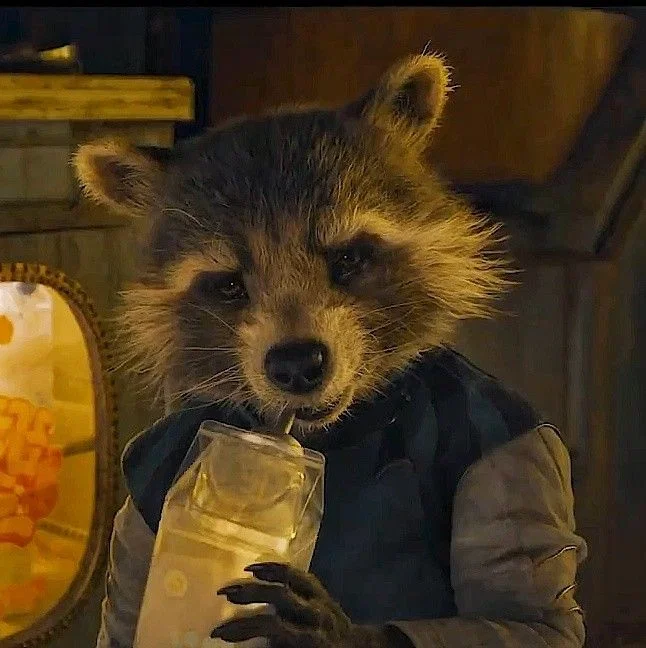 Rocket Raccoon