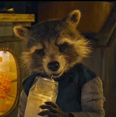 Rocket Raccoon 