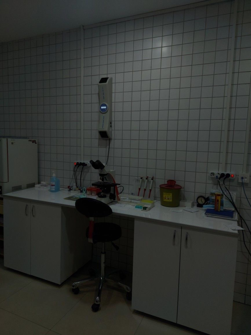 zake The experiment 
