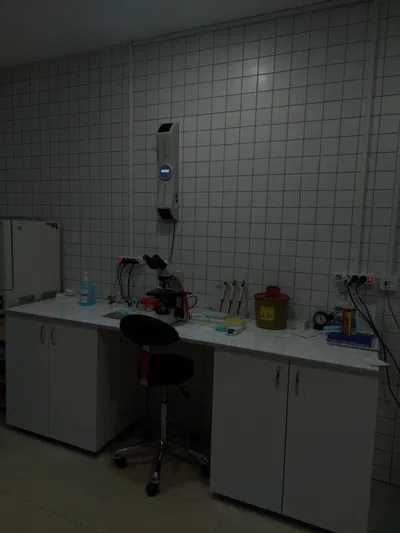 zake The experiment 