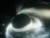 Omegaverse